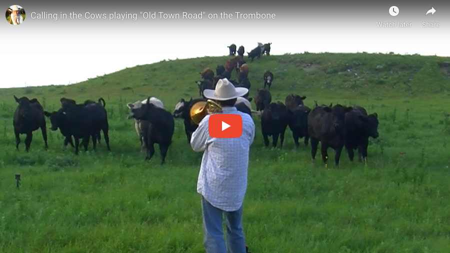 Calling in the Cows playing "Old Town Road" on the Trombone Farmer